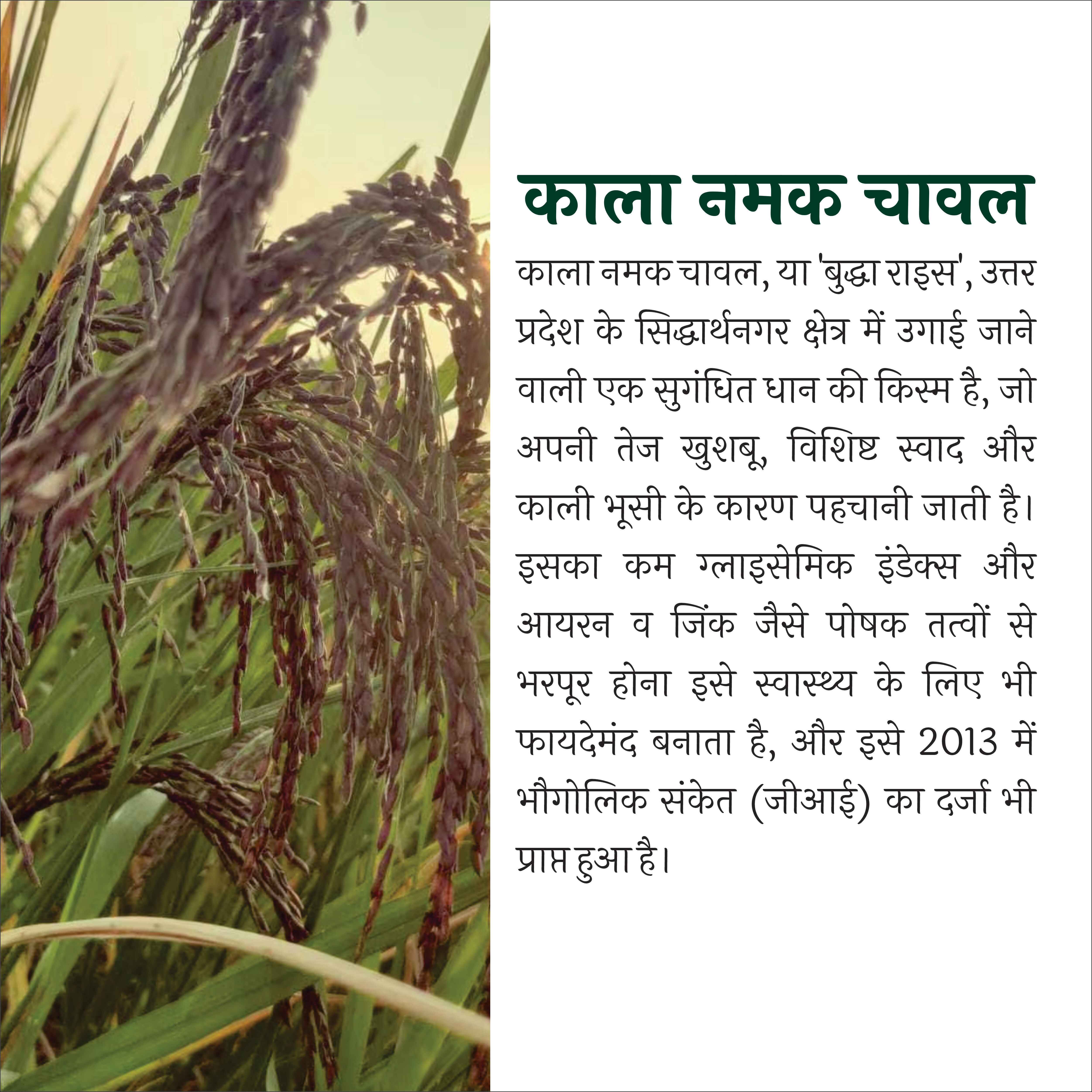 BMS Naturals Kala Namak Rice | Diabetic Friendly | Aromatic | Unpolished | Buddha Rice | Low GI